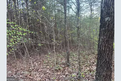 1057 Mayfield Lane NE, Ranger, GA 30734 - Photo 8