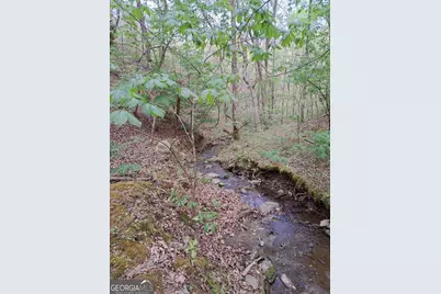 1057 Mayfield Lane NE, Ranger, GA 30734 - Photo 6