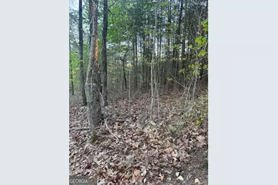 1057 Mayfield Lane NE, Ranger, GA 30734 - Photo 14