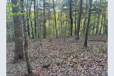 1057 Mayfield Lane NE, Ranger, GA 30734 - Photo 1