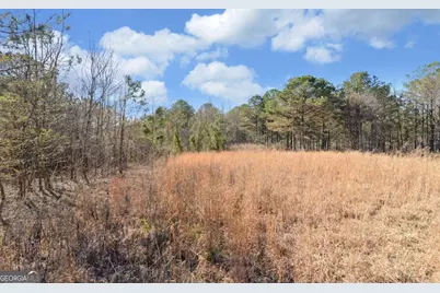 L 29&amp;30 Eastside Drive, Ellijay, GA 30540 - Photo 12