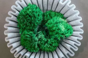 1281 E Main St, Blue Ridge, GA 30513 - Photo 46