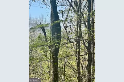 450 Wild Turkey Bluff, Dawsonville, GA 30534 - Photo 2