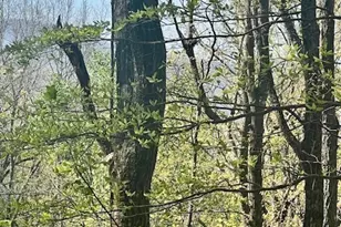 450 Wild Turkey Bluff, Dawsonville, GA 30534 - Photo 2