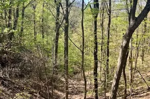 450 Wild Turkey Bluff, Dawsonville, GA 30534 - Photo 6