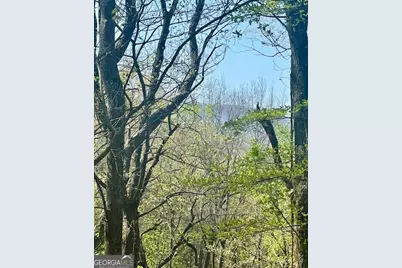 450 Wild Turkey Bluff, Dawsonville, GA 30534 - Photo 1