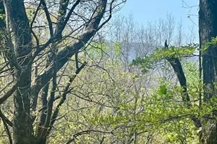 450 Wild Turkey Bluff, Dawsonville, GA 30534 - Photo 1