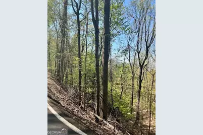 450 Wild Turkey Bluff, Dawsonville, GA 30534 - Photo 4