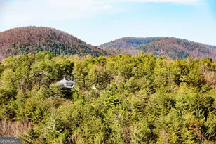 0 Rosen Strasse, Helen, GA 30545 - Photo 1