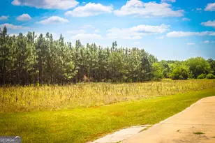 5524 Hooker Branch Rd, Millen, GA 30442 - Photo 6