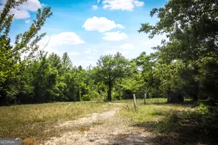 5524 Hooker Branch Rd, Millen, GA 30442 - Photo 70