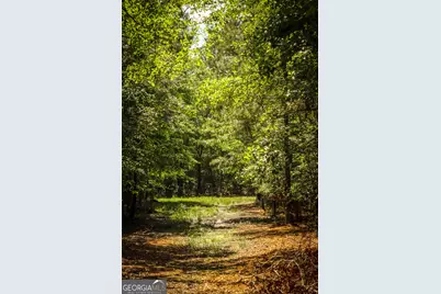 5524 Hooker Branch Road, Millen, GA 30442 - Photo 72
