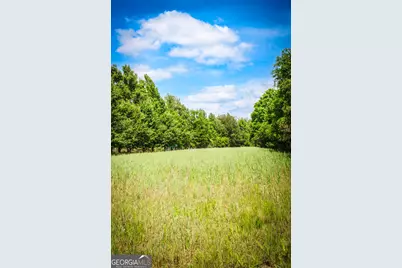 5524 Hooker Branch Road, Millen, GA 30442 - Photo 84