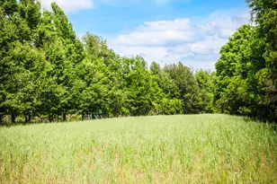 5524 Hooker Branch Rd, Millen, GA 30442 - Photo 84