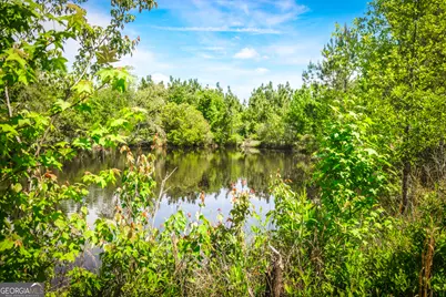 5524 Hooker Branch Road, Millen, GA 30442 - Photo 22