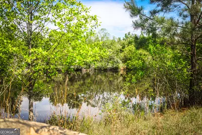 5524 Hooker Branch Road, Millen, GA 30442 - Photo 24