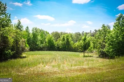 5524 Hooker Branch Road, Millen, GA 30442 - Photo 26