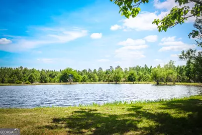 5524 Hooker Branch Road, Millen, GA 30442 - Photo 32