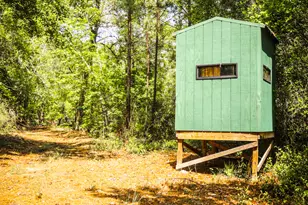 5524 Hooker Branch Rd, Millen, GA 30442 - Photo 74