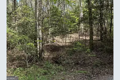 Lot 20 Big Ben Road #20, Ellijay, GA 30540 - Photo 2