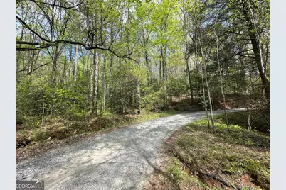 Lot 20 Big Ben Road #20, Ellijay, GA 30540 - Photo 6