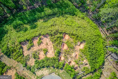 891 Woodvale Point, Suwanee, GA 30024 - Photo 10