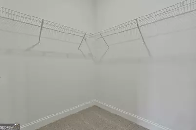 45 Cushing Street #156, Senoia, GA 30276 - Photo 34