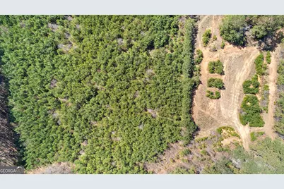 461 Old Jackson Road, McDonough, GA 30252 - Photo 40