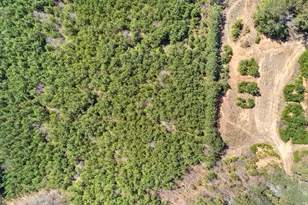 461 Old Jackson Rd, McDonough, GA 30252 - Photo 40