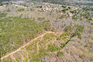 461 Old Jackson Rd, McDonough, GA 30252 - Photo 32