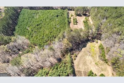 461 Old Jackson Road, McDonough, GA 30252 - Photo 38