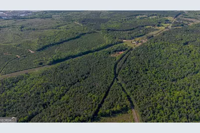 949 Marion Ripley Road, Dry Branch, GA 31020 - Photo 10