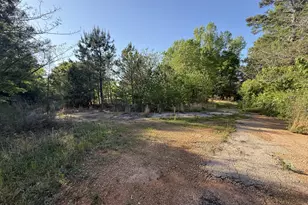 2450 Hwy 155 N, McDonough, GA 30252 - Photo 28