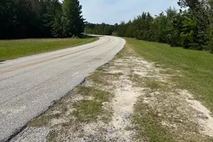 312 N Smyrna Church Rd, Washington, GA 30673 - Photo 8