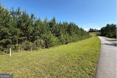 Lot 228 The Cove At Thirteen Hundred, Blairsville, GA 30512 - Photo 10