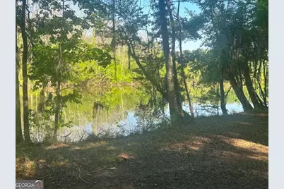 0 Old Poor Robin Road, Sylvania, GA 30467 - Photo 8