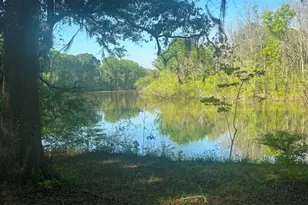 0 Old Poor Robin Rd, Sylvania, GA 30467 - Photo 1