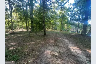 0 Old Poor Robin Road, Sylvania, GA 30467 - Photo 18