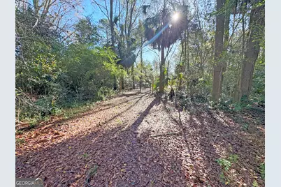 0 Old Ga Highway 3, Pelham, GA 31779 - Photo 4