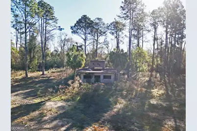 0 Old Ga Highway 3, Pelham, GA 31779 - Photo 6
