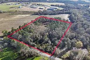 0 Old Ga Hwy 3, Pelham, GA 31779 - Photo 1