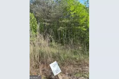 0 Eastside Drive, Ellijay, GA 30536 - Photo 4