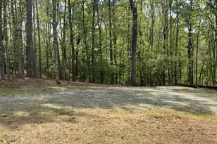 426 Shenendoa Dr, Ellijay, GA 30540 - Photo 12