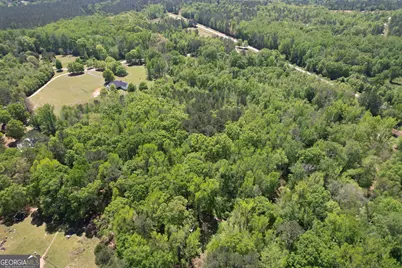 2310 Hollonville, Williamson, GA 30292 - Photo 6