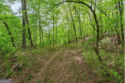 600 Piney Grove Road, Comer, GA 30629 - Photo 46