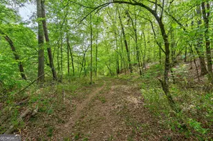 600 Piney Grove Rd, Comer, GA 30629 - Photo 46