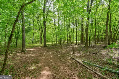 600 Piney Grove Road, Comer, GA 30629 - Photo 50