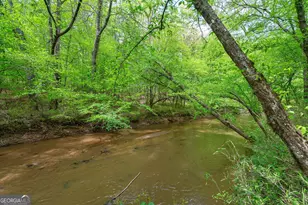 600 Piney Grove Rd, Comer, GA 30629 - Photo 48