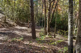 184 Spence Rd, Blue Ridge, GA 30513 - Photo 8