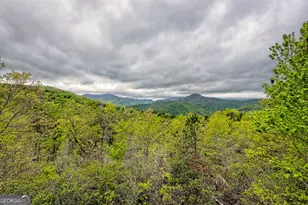 2608 The Ridges, Hiawassee, GA 30546 - Photo 28